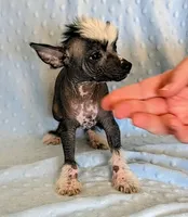 processed/6e932d8e-919e-4f84-9ee2-fe0aee7ba0a1/listing/bfba0450-dbd0-4b2c-890a-1fab367ecf77/ed17f63e-1f83-49c6-b91a-c79e04348d38