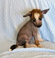 processed/6e932d8e-919e-4f84-9ee2-fe0aee7ba0a1/listing/c2a71c98-b4a4-46b9-a43b-7b1ed4e767d2/833c3bb1-dcfa-4ef7-8f4a-9d0f3a5dca05