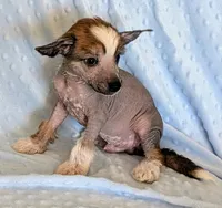 processed/6e932d8e-919e-4f84-9ee2-fe0aee7ba0a1/listing/c2a71c98-b4a4-46b9-a43b-7b1ed4e767d2/a94b4626-e182-47d5-8454-df21a3faf8a5