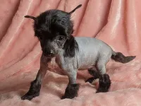 processed/6e932d8e-919e-4f84-9ee2-fe0aee7ba0a1/listing/e120659a-fea3-42be-a946-2efcd028e567/e9d280ca-b4d5-42de-913c-32145aa469b9