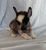 processed/6e932d8e-919e-4f84-9ee2-fe0aee7ba0a1/listing/e6499521-82dc-4876-8044-5c91c736d96a/c4fe5b2f-c755-46d5-83d4-124c3b6788df