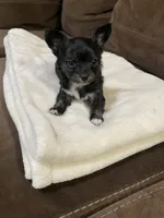 processed/6e9e7778-b9b7-4ef8-b26e-378643f00de7/listing/fda823ad-bc39-4310-9e1c-270092cdbfca/04c36ccd-8c47-4249-939f-1fd97d42133f