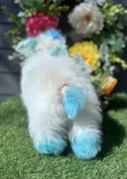 Jasper, a male Poodle - Toy  for sale in Walker, LA – Photo 4 of 10