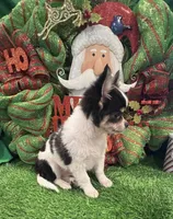 processed/6ea8ec72-95f1-444c-b284-a8c763476418/listing/30106fd4-9642-44a7-978b-41a1429177fa/8ef28ac5-9e46-4a4d-b2d6-492b29d00566