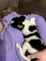 processed/6ea8ec72-95f1-444c-b284-a8c763476418/listing/30106fd4-9642-44a7-978b-41a1429177fa/aa7d0eff-f7bd-469e-a78f-0762450ec30f