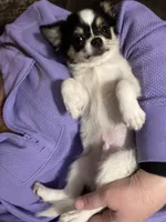 processed/6ea8ec72-95f1-444c-b284-a8c763476418/listing/30106fd4-9642-44a7-978b-41a1429177fa/cf6097b9-0aae-4ea5-9174-caa32de467b8