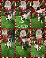 processed/6ea8ec72-95f1-444c-b284-a8c763476418/listing/682a0d61-de86-44ae-bc7e-2cc62112c304/8dc729ea-88f2-49a4-b72d-5b84693c41ec