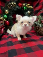 processed/6ea8ec72-95f1-444c-b284-a8c763476418/listing/6a172840-1be2-4cda-b042-e8c829d3b35e/04d618ee-c806-483b-8251-0435ea131f64