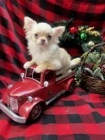 processed/6ea8ec72-95f1-444c-b284-a8c763476418/listing/6a172840-1be2-4cda-b042-e8c829d3b35e/0bd479f2-90d4-4123-bdf9-93b61f5746c1