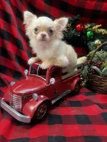 processed/6ea8ec72-95f1-444c-b284-a8c763476418/listing/6a172840-1be2-4cda-b042-e8c829d3b35e/40314938-8130-430f-a71e-ec1b874523e6