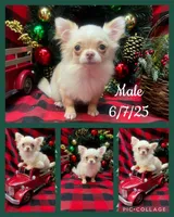 processed/6ea8ec72-95f1-444c-b284-a8c763476418/listing/6a172840-1be2-4cda-b042-e8c829d3b35e/5d32ade1-d564-4fd6-88a0-05b42a5b297c