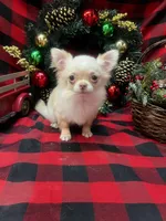 processed/6ea8ec72-95f1-444c-b284-a8c763476418/listing/6a172840-1be2-4cda-b042-e8c829d3b35e/688c8814-c194-4e4e-bbcc-1c1f3f4a7e9f