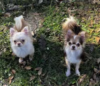 processed/6ea8ec72-95f1-444c-b284-a8c763476418/listing/6a172840-1be2-4cda-b042-e8c829d3b35e/8604d64d-64fb-4f8c-8d4e-bc306516e84f