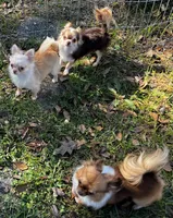 processed/6ea8ec72-95f1-444c-b284-a8c763476418/listing/6a172840-1be2-4cda-b042-e8c829d3b35e/f1e17ccc-bf5e-45b1-b19d-227f7406d31f