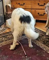 processed/6eb3fb19-87f8-421a-9b70-048db7a30bdb/listing/41d4e3cd-dae7-42ec-8116-c6d3641a15fc/af9c77c1-c7b9-4f82-a0a4-d36cf3564ea7