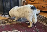 processed/6eb3fb19-87f8-421a-9b70-048db7a30bdb/listing/41d4e3cd-dae7-42ec-8116-c6d3641a15fc/d9d1662a-2d0a-405d-afd0-258fc99f2149