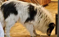 processed/6eb3fb19-87f8-421a-9b70-048db7a30bdb/listing/4b8cc137-114f-4286-93a5-d71e83523169/08829d9a-7e73-46c3-a1fe-8c742b606fea