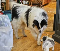 processed/6eb3fb19-87f8-421a-9b70-048db7a30bdb/listing/4b8cc137-114f-4286-93a5-d71e83523169/09173295-c117-45fc-9def-fc3bc5556c15