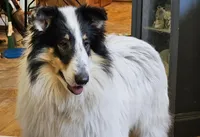 processed/6eb3fb19-87f8-421a-9b70-048db7a30bdb/listing/4b8cc137-114f-4286-93a5-d71e83523169/207e1bc7-3fe8-4a58-a8d4-396d90ea7e15