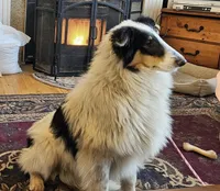 processed/6eb3fb19-87f8-421a-9b70-048db7a30bdb/listing/4b8cc137-114f-4286-93a5-d71e83523169/755c4316-f047-4d06-a6a4-550f5a0c552c