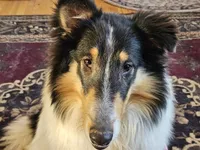 processed/6eb3fb19-87f8-421a-9b70-048db7a30bdb/listing/f5dfefe9-093b-43bb-b4a9-5a423ba3cd26/6719156c-9a29-4e81-8272-a53e918cd85b