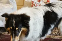 processed/6eb3fb19-87f8-421a-9b70-048db7a30bdb/listing/f5dfefe9-093b-43bb-b4a9-5a423ba3cd26/6fdebfc1-8d3b-450a-8ad5-5623420c9d1b