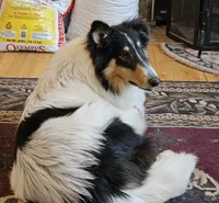 processed/6eb3fb19-87f8-421a-9b70-048db7a30bdb/listing/f5dfefe9-093b-43bb-b4a9-5a423ba3cd26/96b4c5b2-f6b9-47fe-a1a9-403a0cd716de