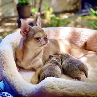 processed/6eb4f9be-378b-41a8-a4e7-508ff56ef2a6/facility/74b7b21d-119b-4074-a029-163c587540ab