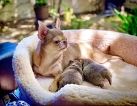 processed/6eb4f9be-378b-41a8-a4e7-508ff56ef2a6/facility/74b7b21d-119b-4074-a029-163c587540ab