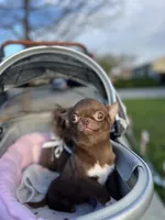 processed/6eb4f9be-378b-41a8-a4e7-508ff56ef2a6/listing/78e299f3-320f-4c54-9180-d6182936518e/23282720-49e9-4668-8f8f-0defe1b11937