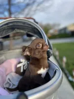 processed/6eb4f9be-378b-41a8-a4e7-508ff56ef2a6/listing/78e299f3-320f-4c54-9180-d6182936518e/d251415c-942a-476f-8f5e-8944f236db62