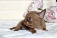 processed/6eb4f9be-378b-41a8-a4e7-508ff56ef2a6/listing/78e299f3-320f-4c54-9180-d6182936518e/f84ac0d7-738b-4889-b7e8-c442486021a9