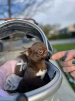 processed/6eb4f9be-378b-41a8-a4e7-508ff56ef2a6/listing/78e299f3-320f-4c54-9180-d6182936518e/faf6a45c-0cfa-4741-b2f6-a5736722808e