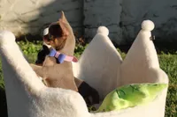 Risha, a female Chihuahua for sale in San Jose, CA – Photo 7 of 10