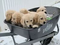 processed/6eb8c317-3fc0-428b-8602-3ef2a834a354/facility/0e23741a-98bb-4462-9c79-58d39d981d3e