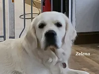 processed/6eb8c317-3fc0-428b-8602-3ef2a834a354/facility/208a875b-3013-413e-9e23-4e78827490cf