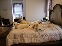 processed/6eb8c317-3fc0-428b-8602-3ef2a834a354/facility/38ff553a-c12d-48db-b2f5-c8ef2cffcffd