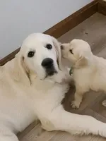 processed/6eb8c317-3fc0-428b-8602-3ef2a834a354/facility/698a5d10-5385-4d2d-9aca-9445ca359dc0