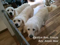 processed/6eb8c317-3fc0-428b-8602-3ef2a834a354/facility/d3576592-f94f-4c41-a1ea-52b391287a5f