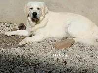 processed/6eb8c317-3fc0-428b-8602-3ef2a834a354/facility/e23083ed-e23c-493b-b124-e438d9515c68