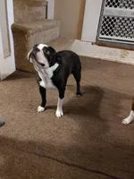 processed/6ed2cac6-4835-485c-926c-7a71c9618e6a/facility/0670c964-ab88-4320-a698-1a6041b98988