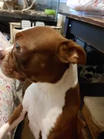 processed/6ed2cac6-4835-485c-926c-7a71c9618e6a/facility/1cf9e6a1-9900-4e4f-b8e0-c1dbc1950295