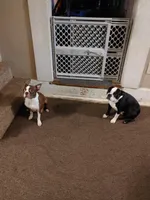 processed/6ed2cac6-4835-485c-926c-7a71c9618e6a/facility/f637014d-3d99-4dfa-a939-0b02290f0402