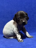 processed/6ed4dc9a-28f3-4b9d-83ac-f978b73d3fe9/listing/0a4aca75-8a0d-428b-9734-eec556ea907e/06ea873a-affe-4b60-8970-9ca6755c50e0