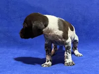 processed/6ed4dc9a-28f3-4b9d-83ac-f978b73d3fe9/listing/0a4aca75-8a0d-428b-9734-eec556ea907e/12e83eb6-4ff0-47cb-b2b0-6501b99a3ca1