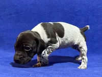 processed/6ed4dc9a-28f3-4b9d-83ac-f978b73d3fe9/listing/0a4aca75-8a0d-428b-9734-eec556ea907e/36157a4f-4c1b-4d3c-875c-2732fcfc74ca