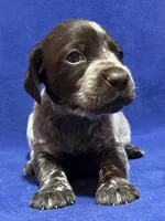 processed/6ed4dc9a-28f3-4b9d-83ac-f978b73d3fe9/listing/44f1cb36-ece6-488f-b35f-01ce55432ece/6beffb0f-8fab-4b7d-93eb-b4a7b0cd90cb