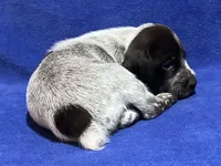 processed/6ed4dc9a-28f3-4b9d-83ac-f978b73d3fe9/listing/44f1cb36-ece6-488f-b35f-01ce55432ece/778b0d25-7a09-48c7-a373-3cba5fdd76ef