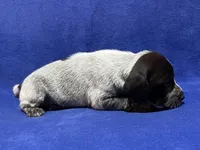 processed/6ed4dc9a-28f3-4b9d-83ac-f978b73d3fe9/listing/44f1cb36-ece6-488f-b35f-01ce55432ece/93f73d9c-093b-48ae-835f-0f4fe51ec3c9