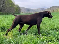 processed/6ed4dc9a-28f3-4b9d-83ac-f978b73d3fe9/listing/7db726bf-b6be-4307-8899-3db4a9ea82aa/2da134db-f113-45ff-9753-cecab94840f7